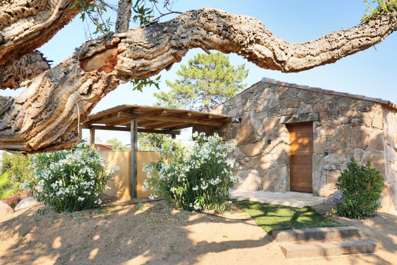 Vista Blu Villa Conca