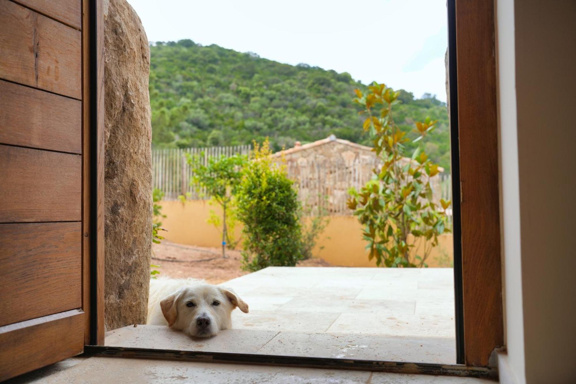 Vista Blu Villa Conca